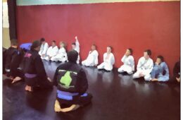 Kid’s Martial Arts: Struggling and Challenging