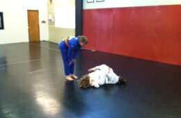Kid’s martial arts: fundamentals